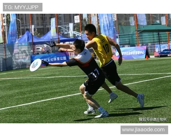 北京飞盘队速度对比深度解析与战术优势探讨 北京飞盘队速度对比深度解析与战术优势探讨