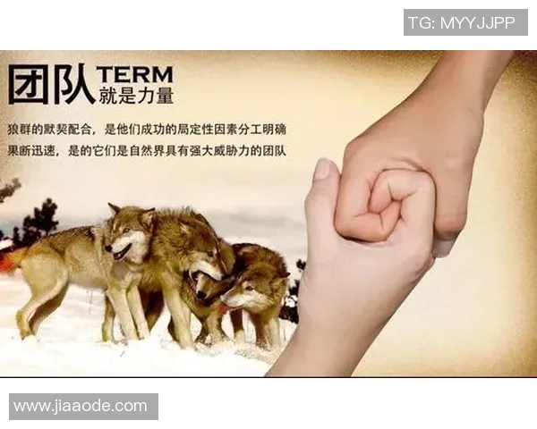 武汉滑板队的默契配合与团队精神探讨 武汉滑板队的默契配合与团队精神探讨